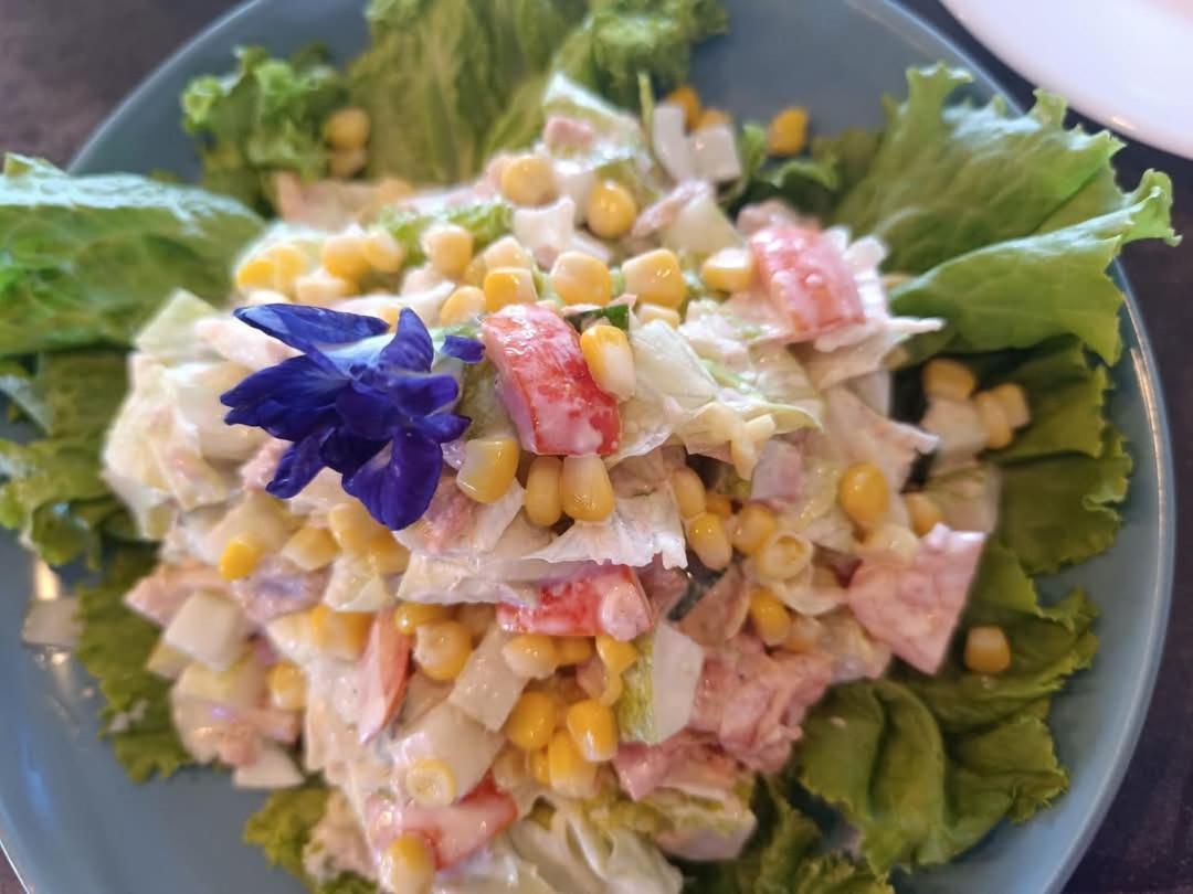 卡迪克兰 Plato De Ciudad II酒店 外观 照片