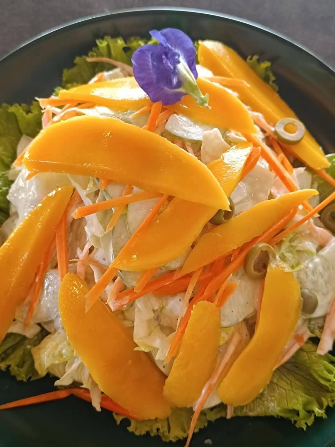 卡迪克兰 Plato De Ciudad II酒店 外观 照片