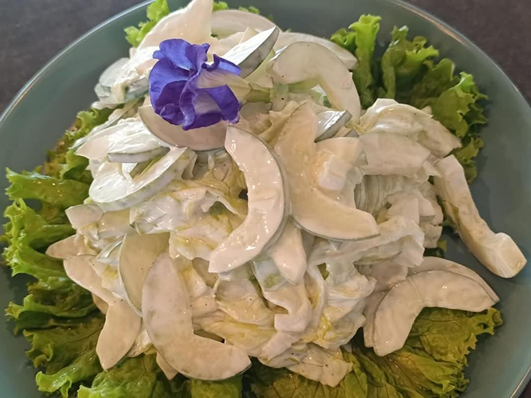 卡迪克兰 Plato De Ciudad II酒店 外观 照片
